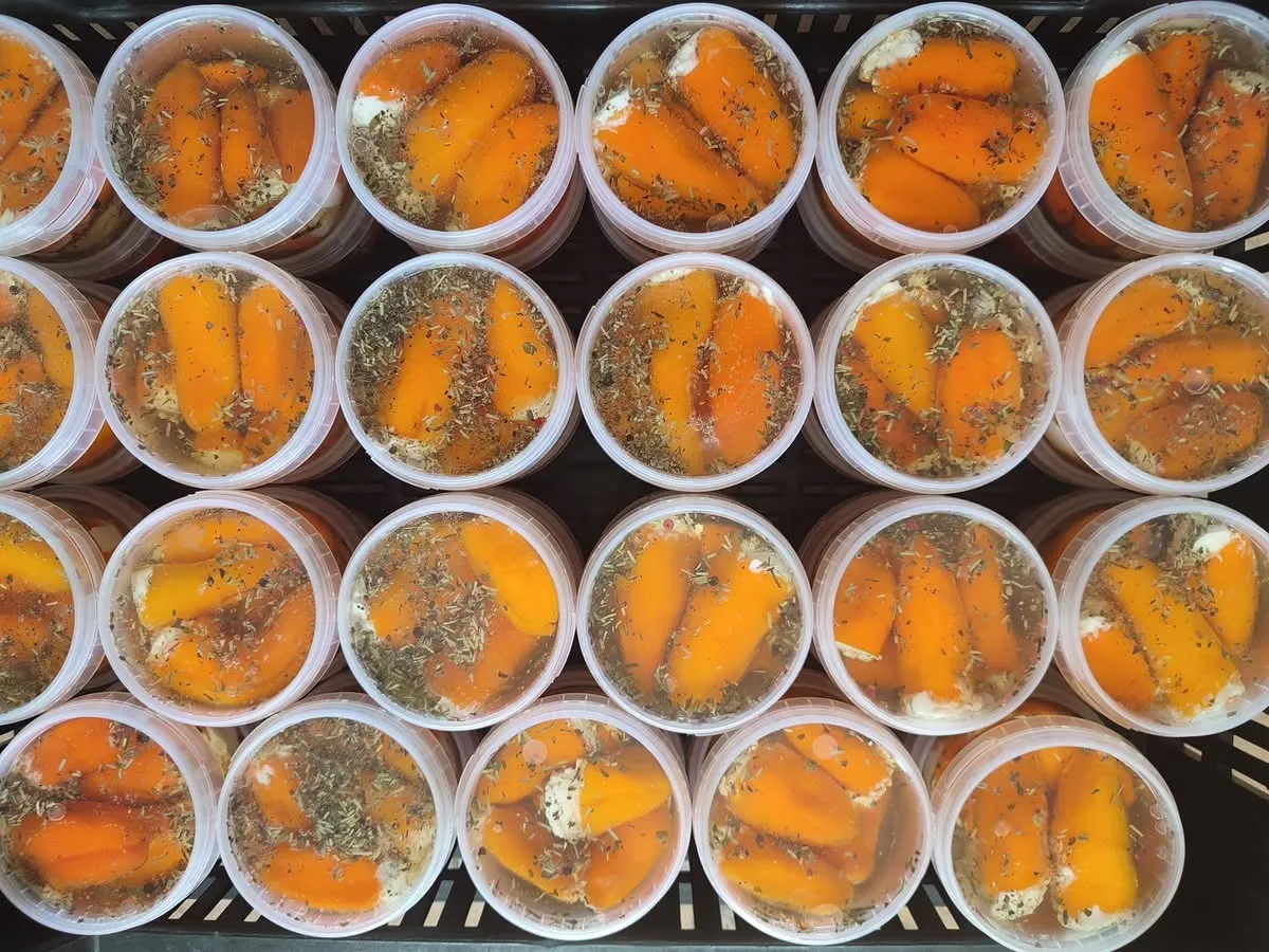 Krémfehér sajttal töltött paprika — csemege íz